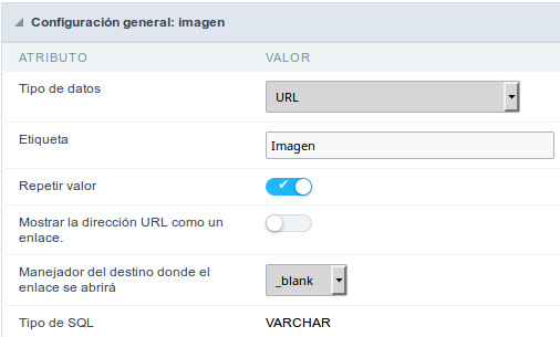 URL field Configuration Interface.