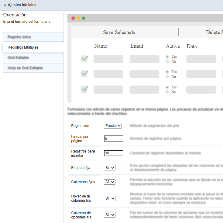Orientación del formulario registros múltiples.