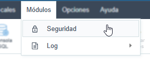 Accediendo al módulo de seguridad.